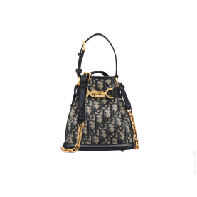  DIOR 디올 오블리크 쎄디올 버킷백