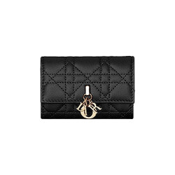 DIOR 디올 글리신 지갑 까나쥬 S0966 9COLOR