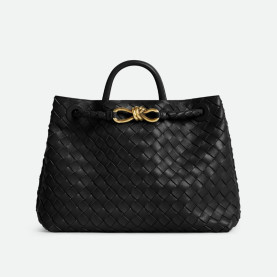BOTTEGA VENETA 보테가베네타 안디아모 766016 3COLOR