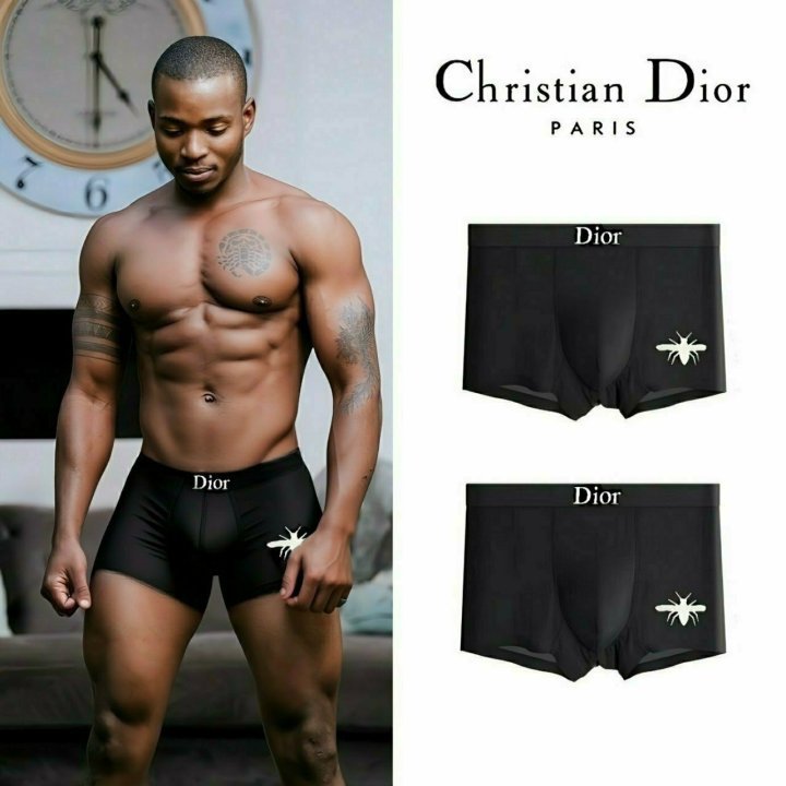 DIOR 디올 나비로고 드로즈